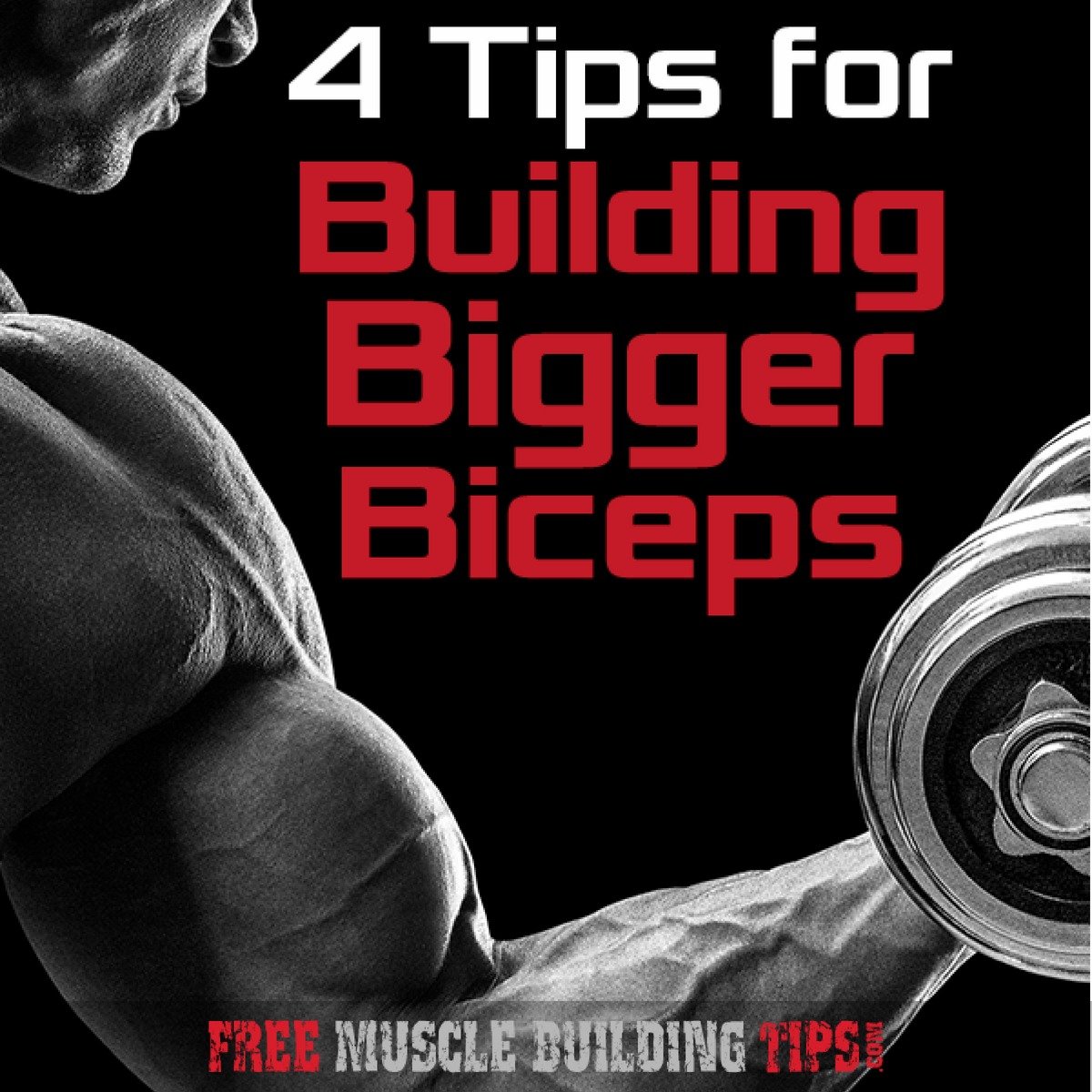 4 Tips To Building Bigger Biceps And Getting Huge Ripped Arms 4 Tips To Building Bigger Biceps And Getting Huge Ripped Arms