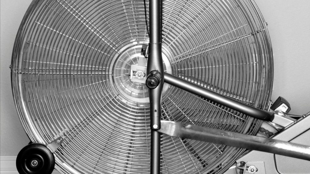 assault airbike elite stores